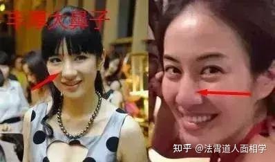 面相五官分析图相鼻,鼻相好是什么意思? - 知乎