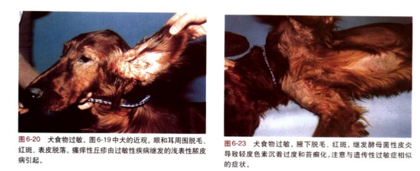 8免疫缺陷性皮肤病免疫缺陷性皮肤病一般是指落叶天疱疮 ,类天疱疮