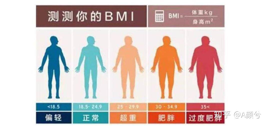 怎么算基础代谢?