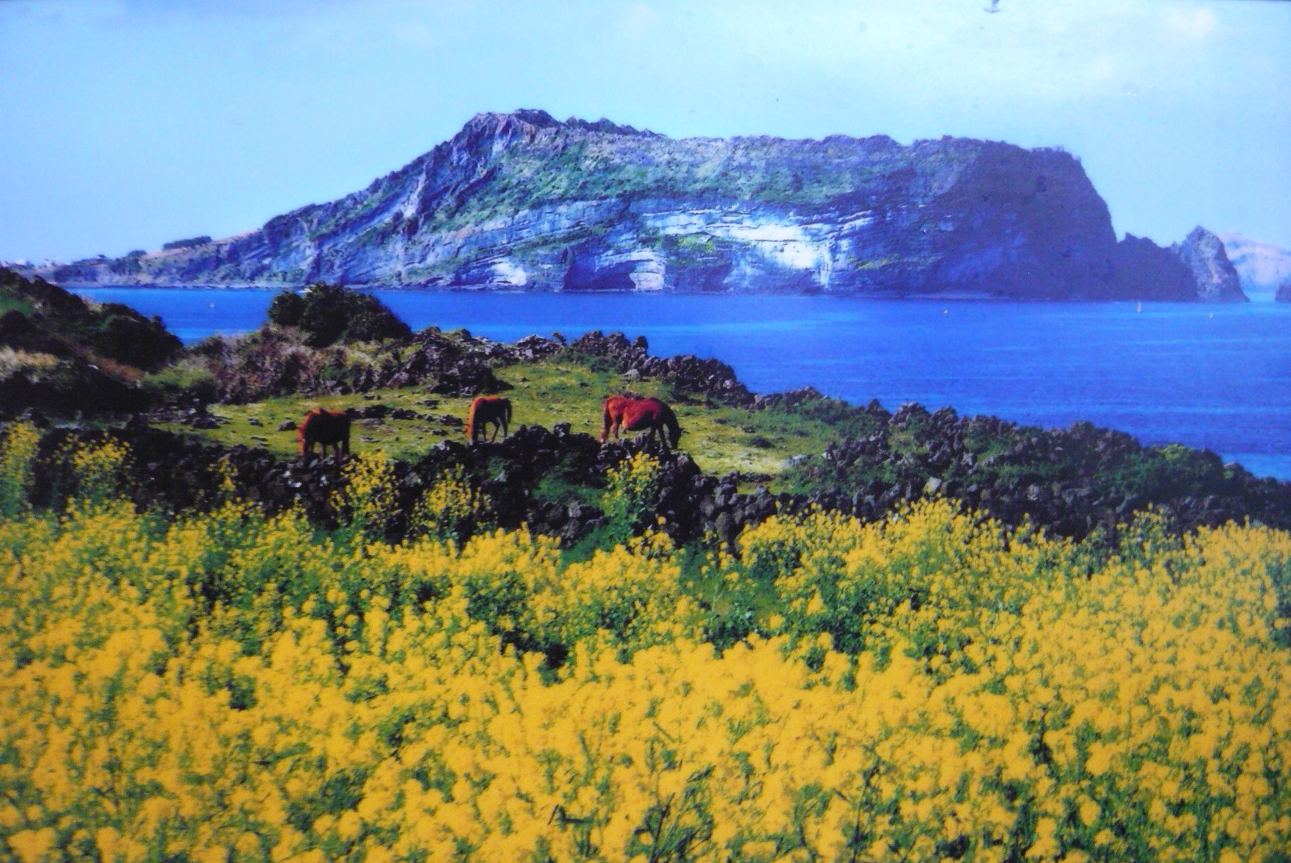 【携程攻略】济州市汉拿山国立公园景点,从济州岛的任何地方都可以看到汉拿山，山上风景秀丽，还有很多野生小…