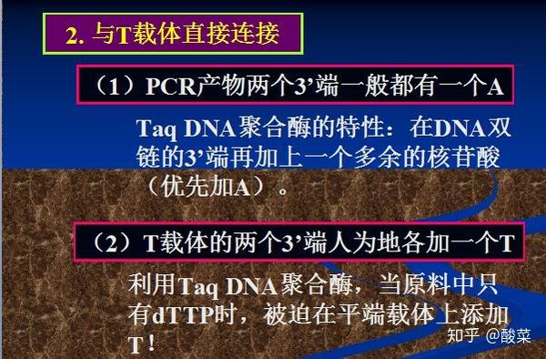 生物分子类实验室常用实验技术原理汇总 知乎