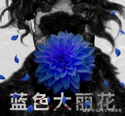 蓝色大丽花丨剧本杀测评复盘解析电子版答案真相凶手线索