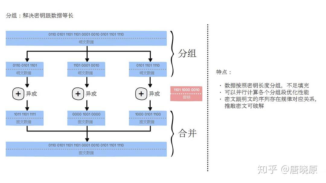 种子原理是什么_妙蛙种子进化后是什么(3)