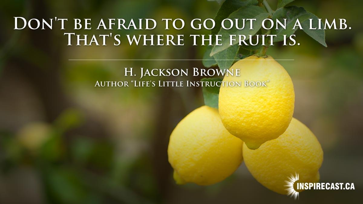 day9每日谚语gooutonalimb