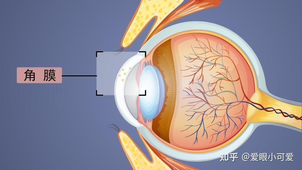 高龄老人在福州眼科医院接受羊膜移植 - 知乎
