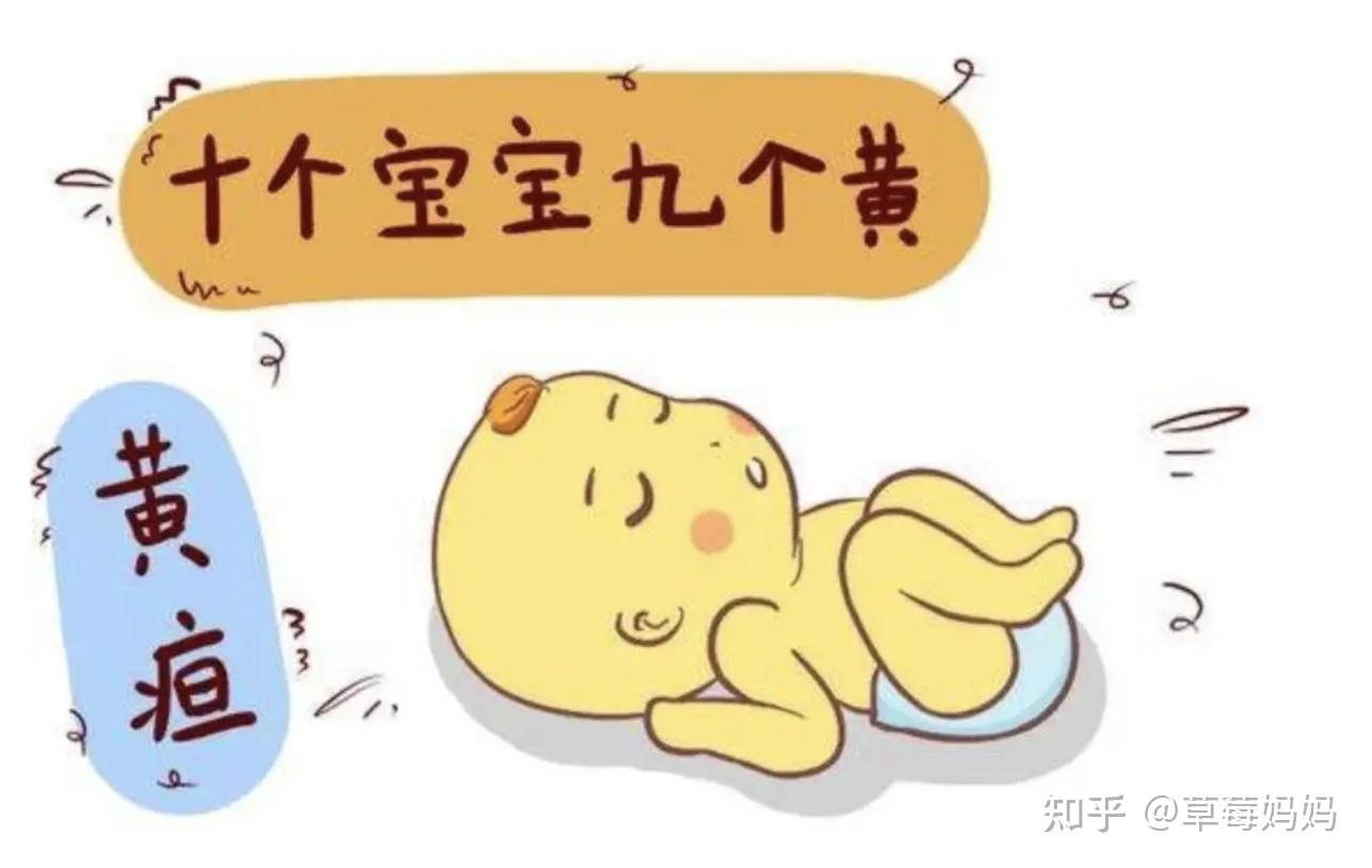 新生儿黄疸怎么办?手把手教你如何护理 - 知乎