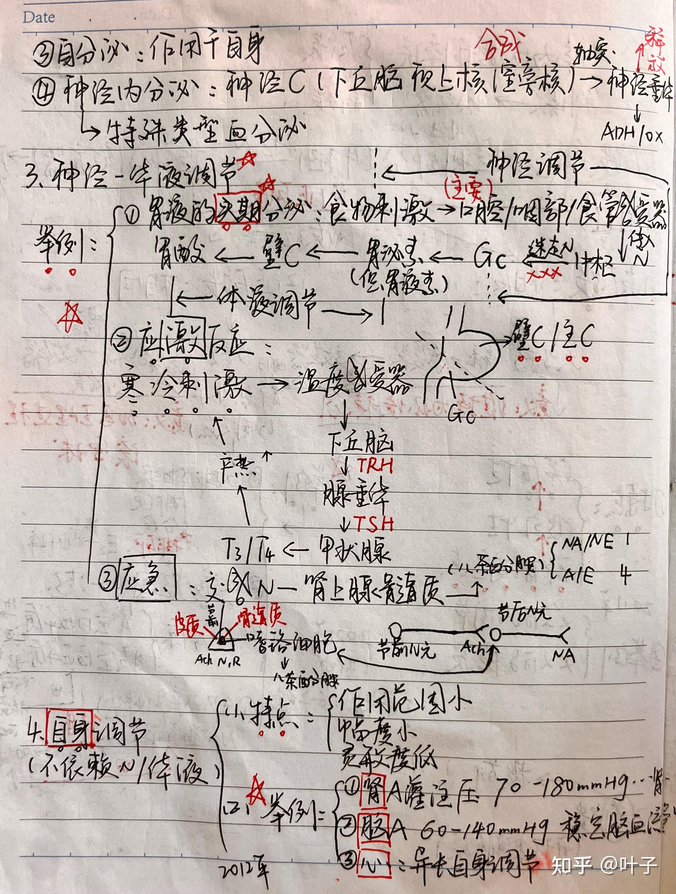 生理学手写笔记（超重点） 知乎 
