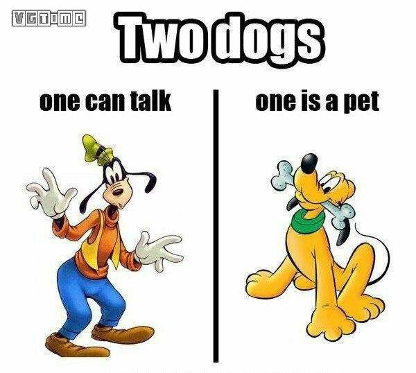 难道没人考虑过高飞和布鲁托么.