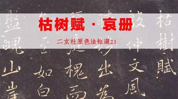 二玄社原色法帖选21 枯树赋・哀册- 知乎