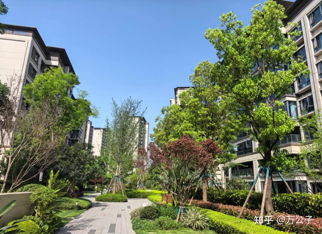 现在高价卖掉房子的人,都会后悔?中央定调,2025年楼市或开始新一轮洗牌 - 知乎