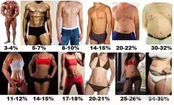 不管你是运动减肥还是节食减肥 体脂率是个最好的参照指数 知乎