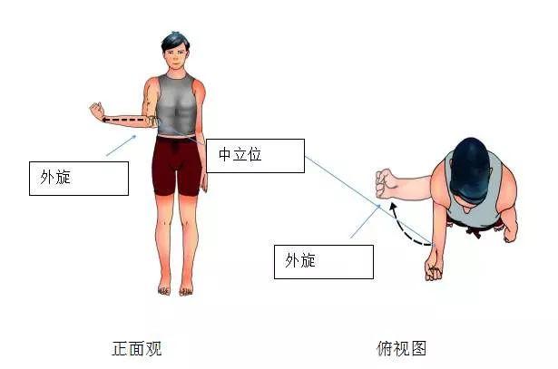 如何通過健身矯正含胸駝背