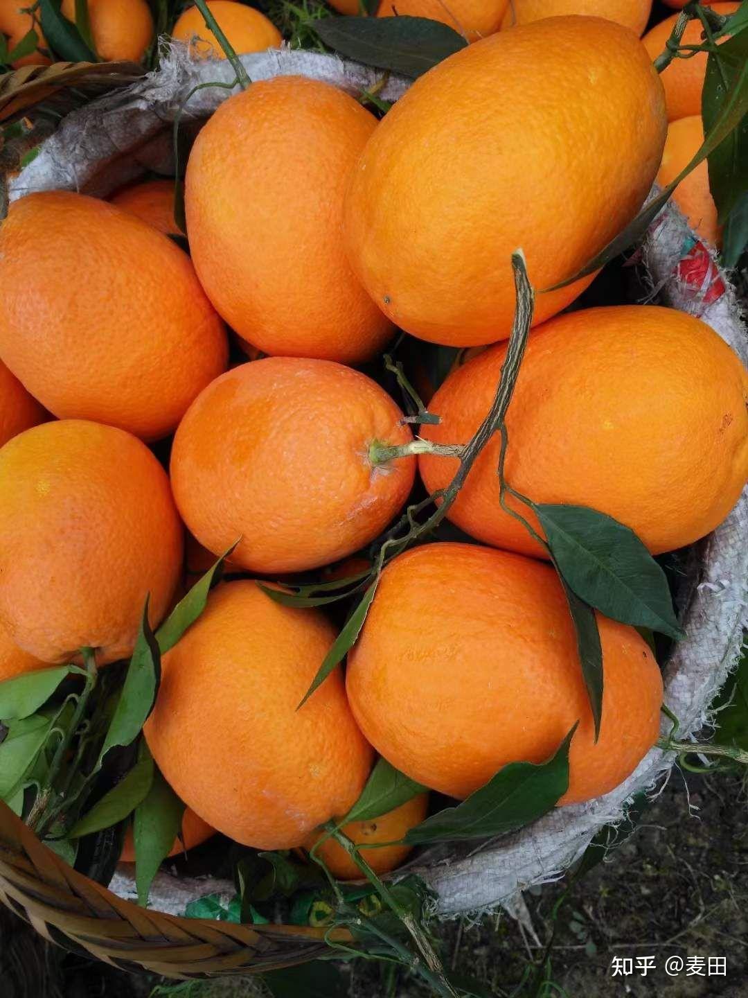 每天现摘现发,绝对新鲜哦,反馈也是极好的大家放心入手,今日主推:鹅蛋