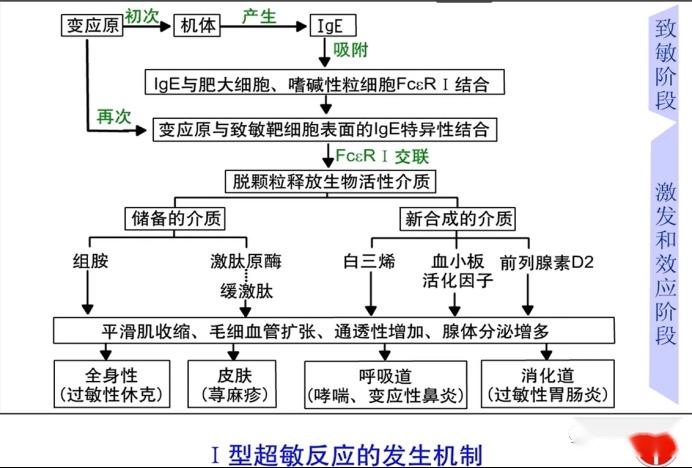 免疫学实用基础（5） - 知乎