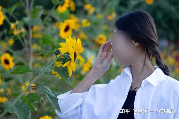 掌握摄影评论的艺术
