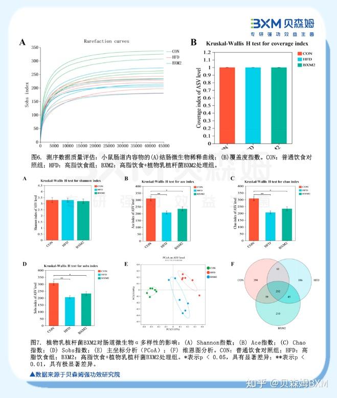 强功效·成果|植物乳植杆菌BXM2：调节肠道健康，体重管理全新解决方案 - 知乎