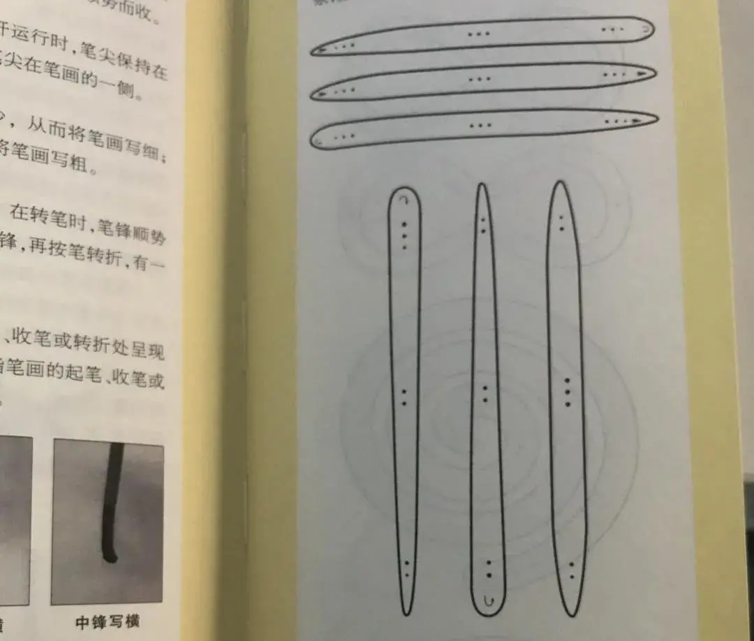 v2-2a993570d14bef90cd39f702ac9e3917_r.jpg