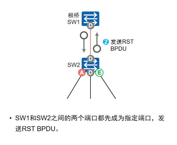 Btp Rpu 计算机网络-RSTP工作过程与原理 - 知乎