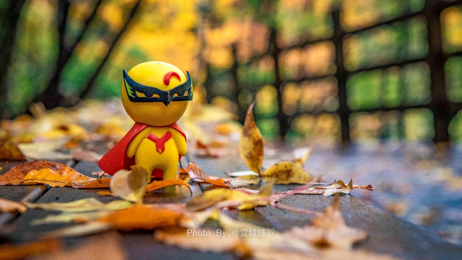 光雾山赏秋最全指南!带你领略“中国红叶第一山”的红叶盛宴