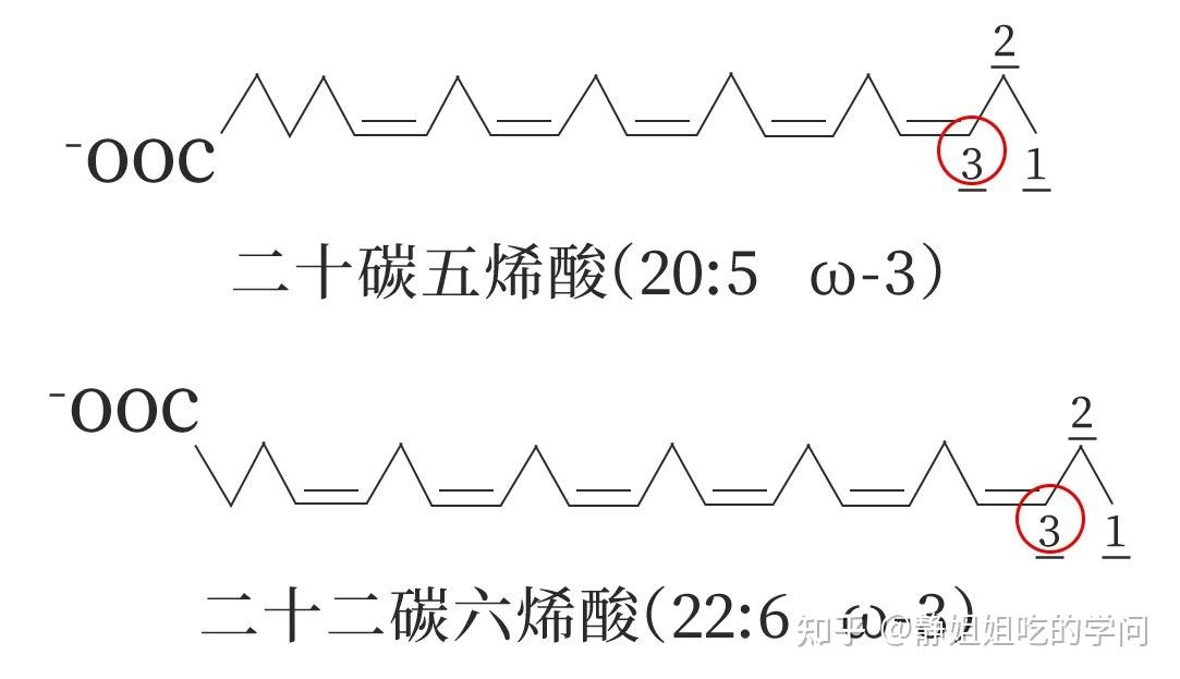 哪6种人应该吃鱼油? - 知乎