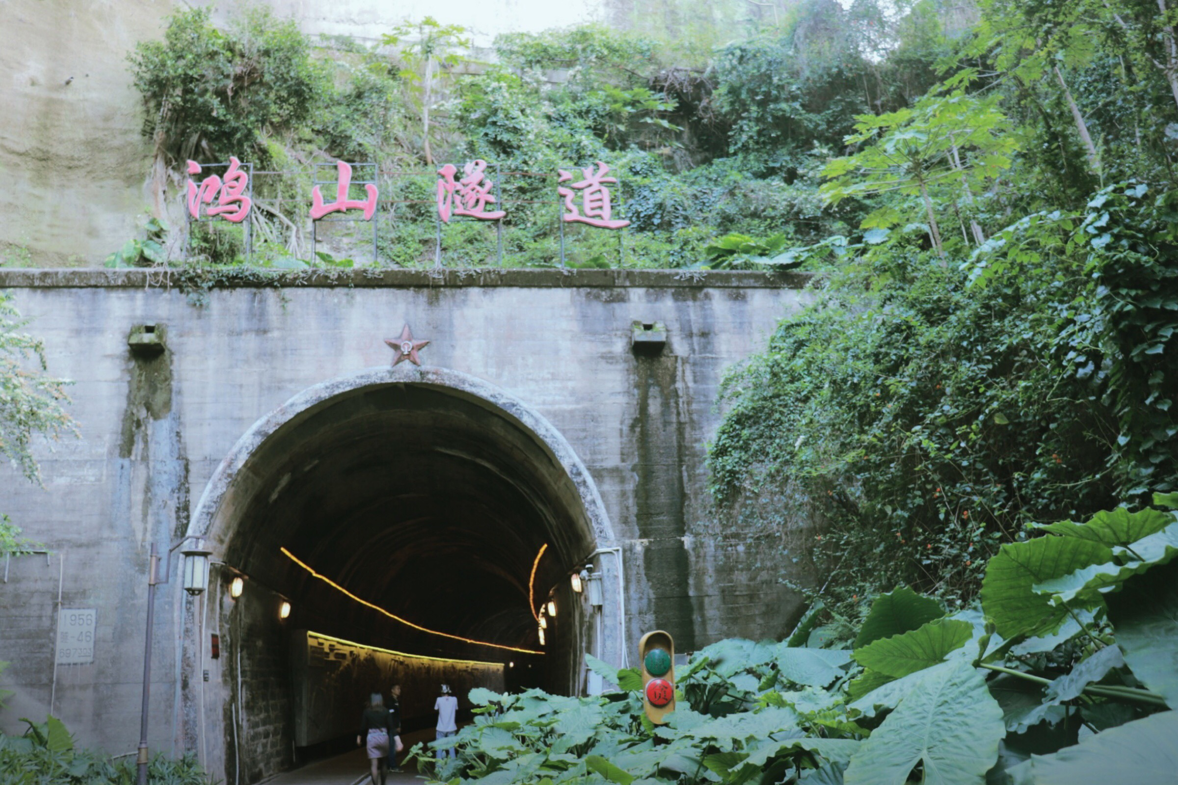 旅行侦探社这届年轻人在厦门已无处可去除了这里
