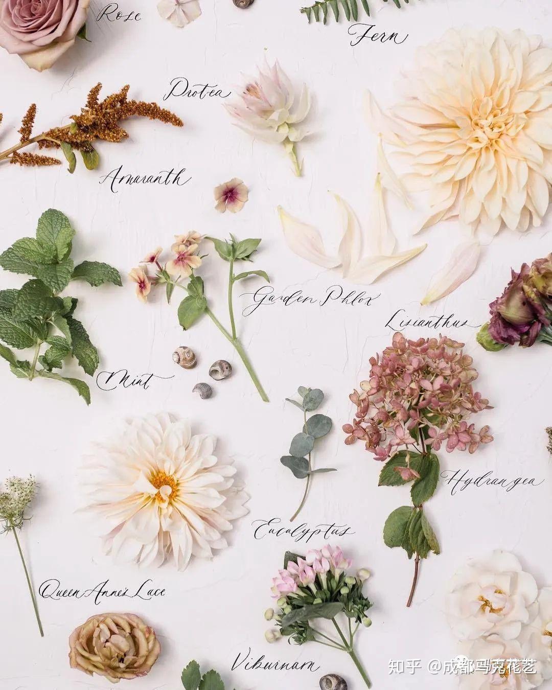 我们知道,花材是插花作品最重要的组成元素,各种形态