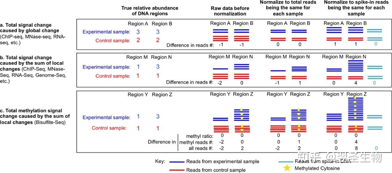 表观专题：你的CUT&tag加spike in了吗 知乎