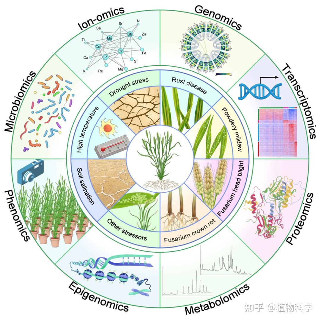 Bouteille isotherme Athlète géniale main image 0