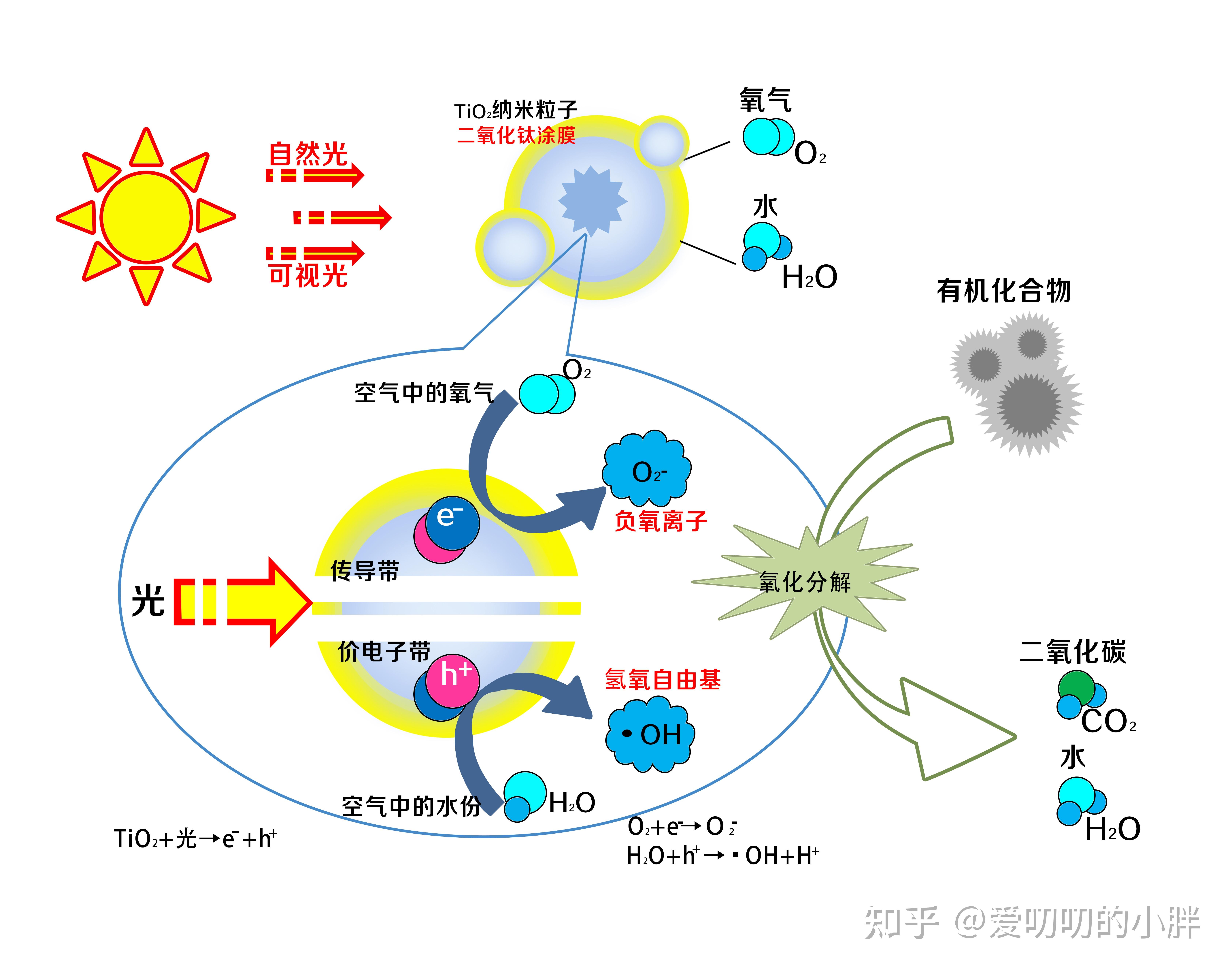 影响光催化剂活性的主要因素有哪些?光催化反应器的分类与优化具有哪些特点? - 知乎