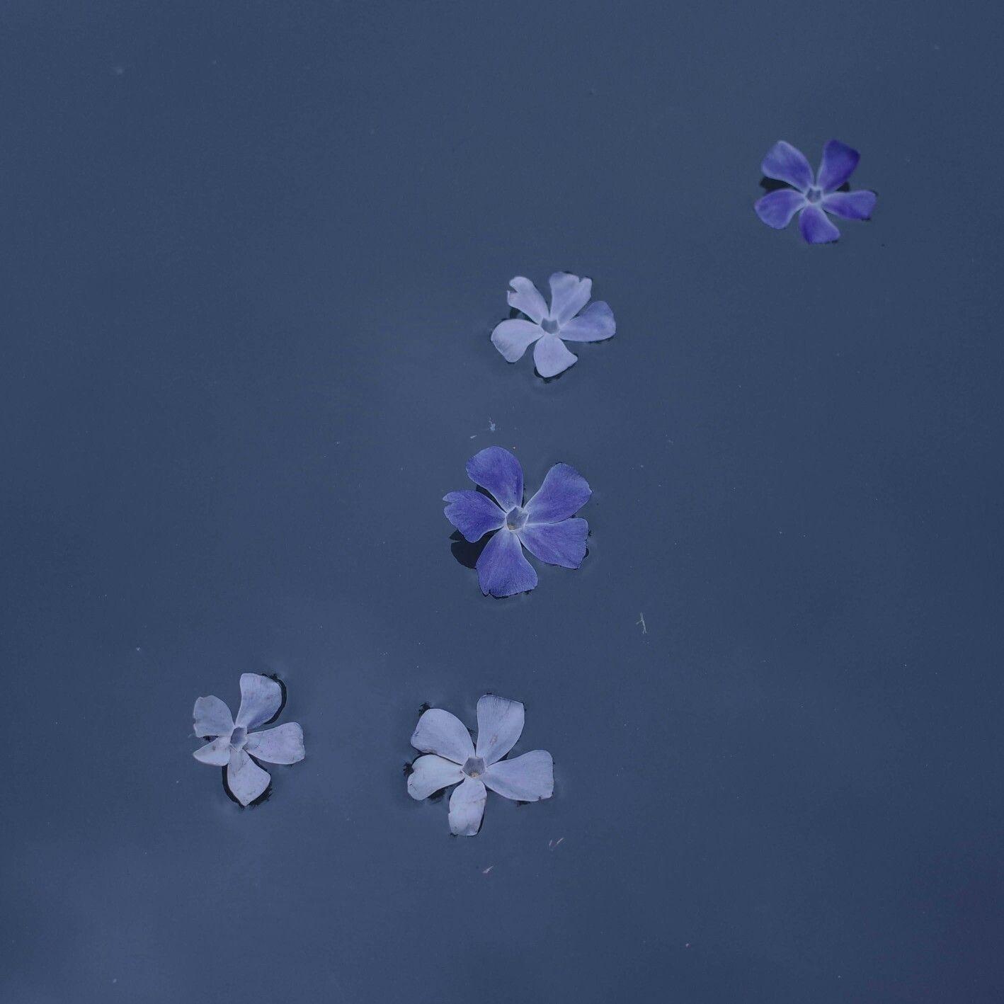 v2-2ae62d4a338dd3fe926b81675adc6e47_r.jpg