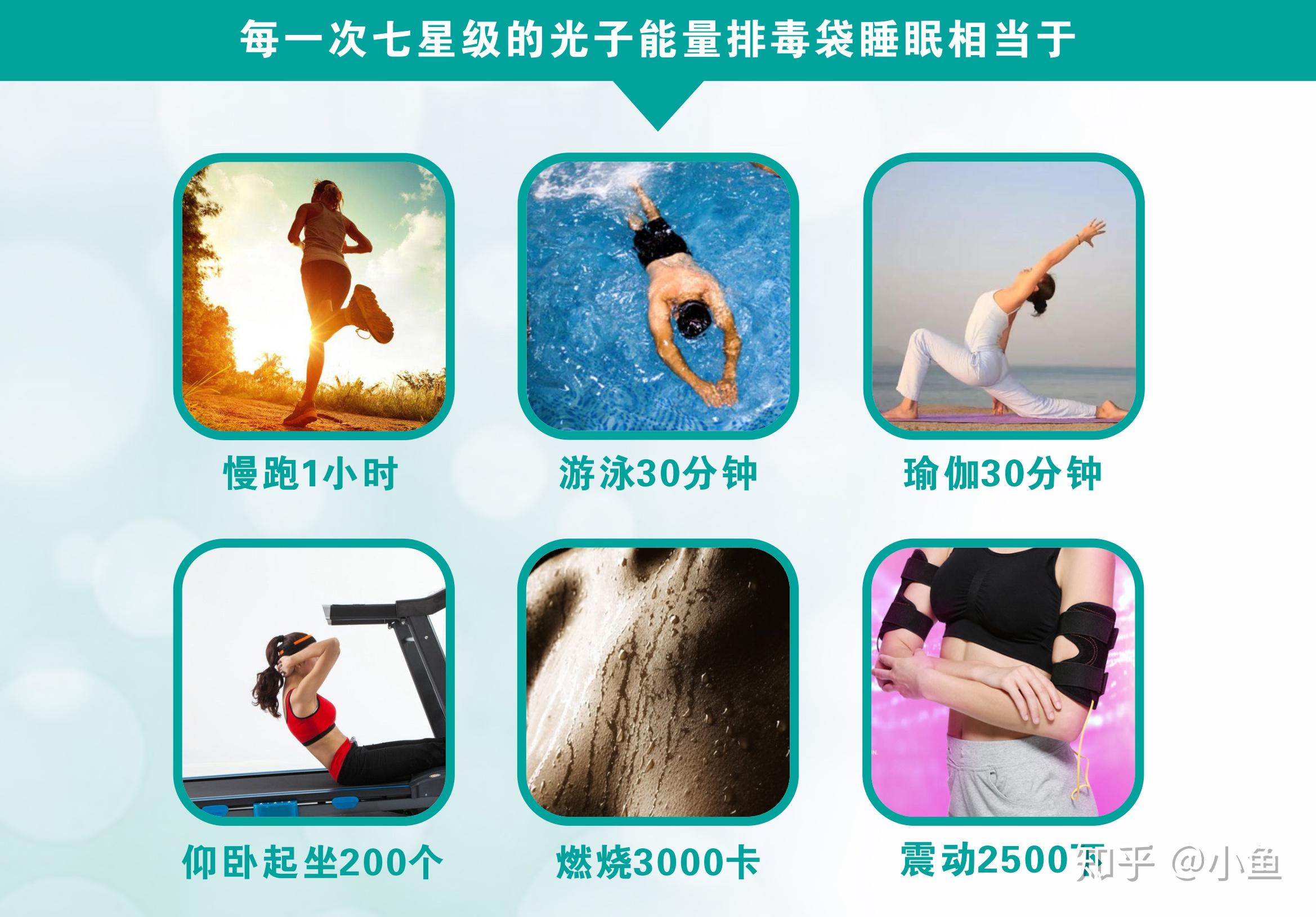 drfargo光子能量排毒袋