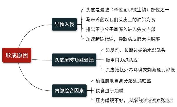 一首先要知道头皮屑形成的原因