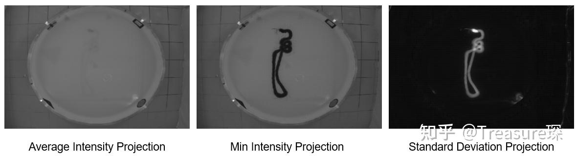 Matlab Image Projection MATLAB科研图像处理——图像堆栈Z projection - 知乎