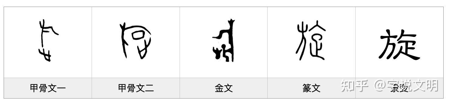 旋怎么读 zhuanlan.zhihu.com