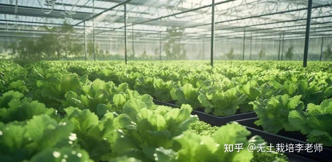 led生態種植櫃該系統是採用水肥一體化和土培系統結合的方式,控制