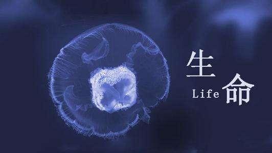 生命如何诞生?生存的目的是什么? - 知乎