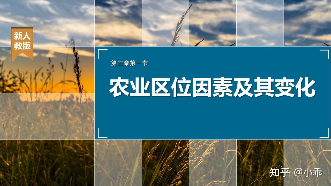 人教版必修二第三章第一节农业区位因素及其变化