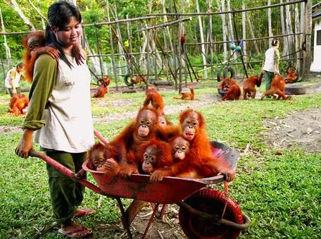 史上最好的沙巴小众旅行攻略，没有之一。
