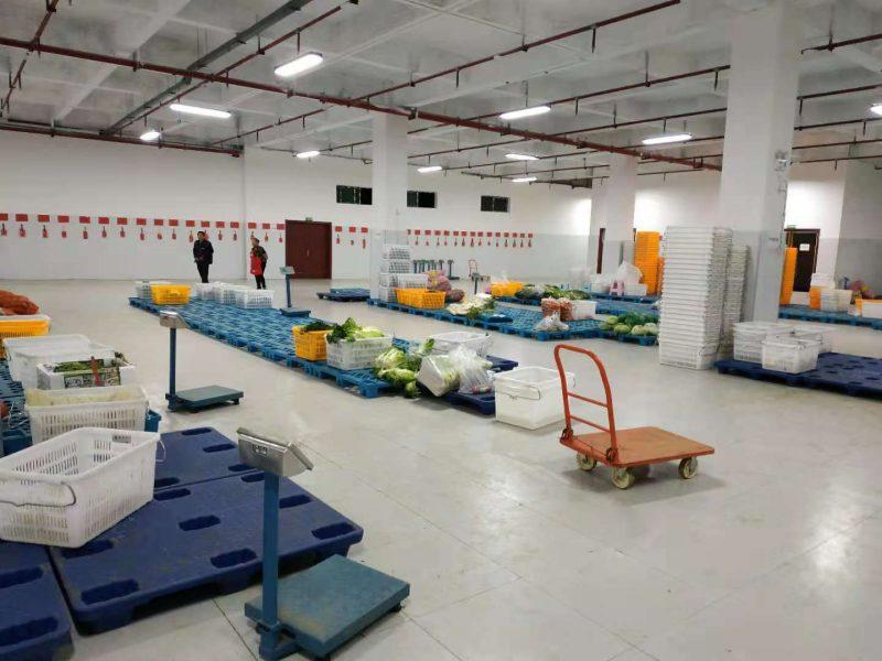 蔬东坡盘点生鲜配送企业如何做好生鲜仓库管理附图