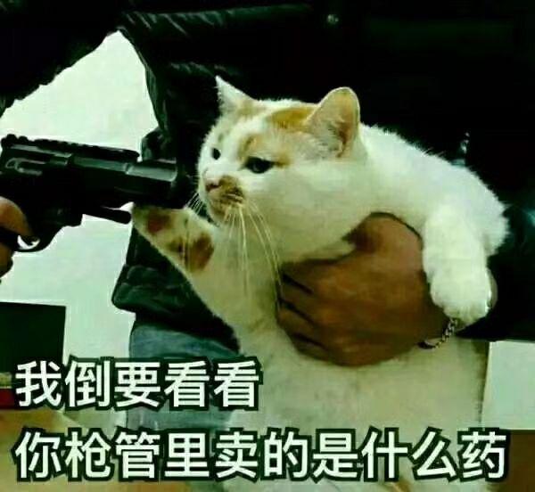 国企工作半年,想辞职考研?