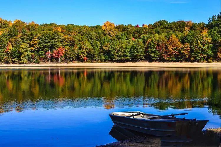 梭罗的生活方式,太令人羡慕了|《瓦尔登湖》 - 知乎