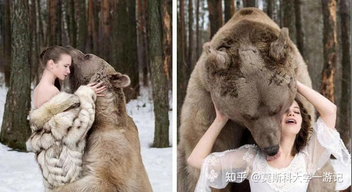 熊怕俄罗斯人是真的吗为什么在线 熊怕俄罗斯人是真的吗为什么在线