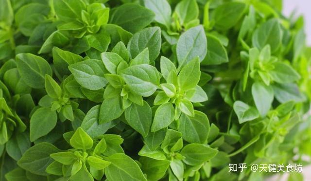 没想到罗勒还有这么多种吃法,做法简单还美味,先收藏了 - 知乎