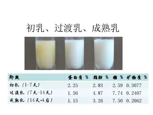 在哺乳过程中,刚流出的乳汁被称作前奶.