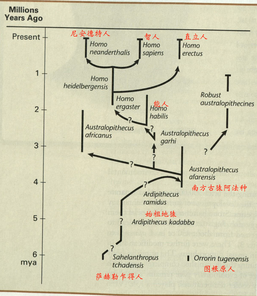 如何评价纪录片《中国通史 2016》关于中国人