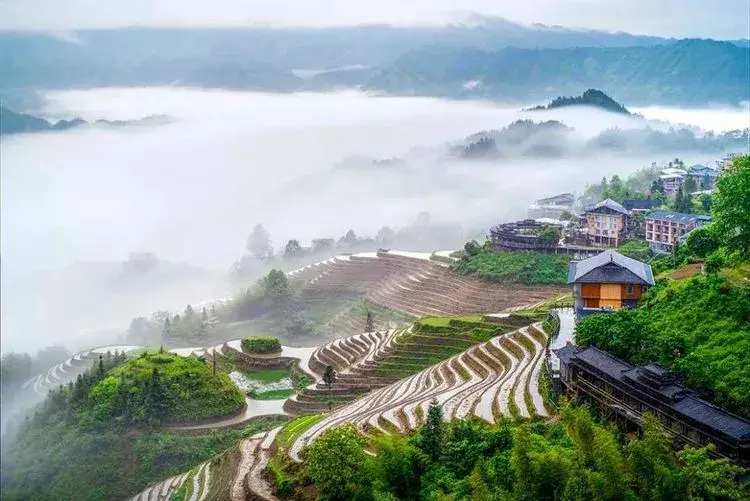 桂林龙脊梯田风景图片图片