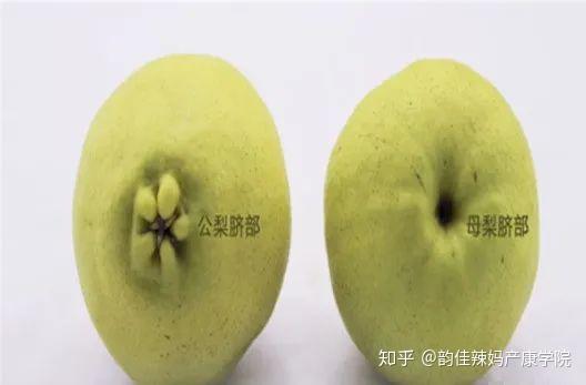 馋哭了隔壁孩子的秋梨汤,快给你家宝做起来 - 知乎