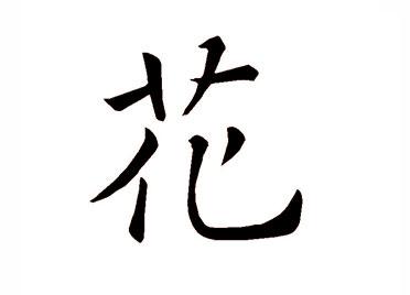 花 汉字的起源与演变 小学一年级语文生字第32集 知乎