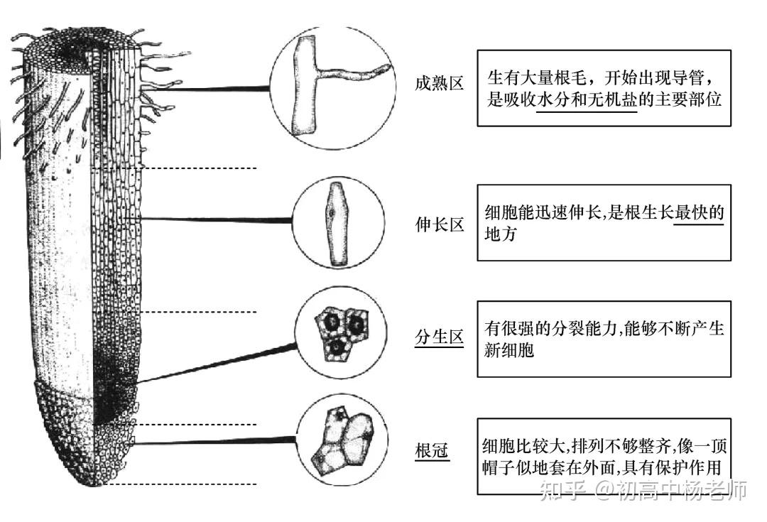 地插结构图文详解图片