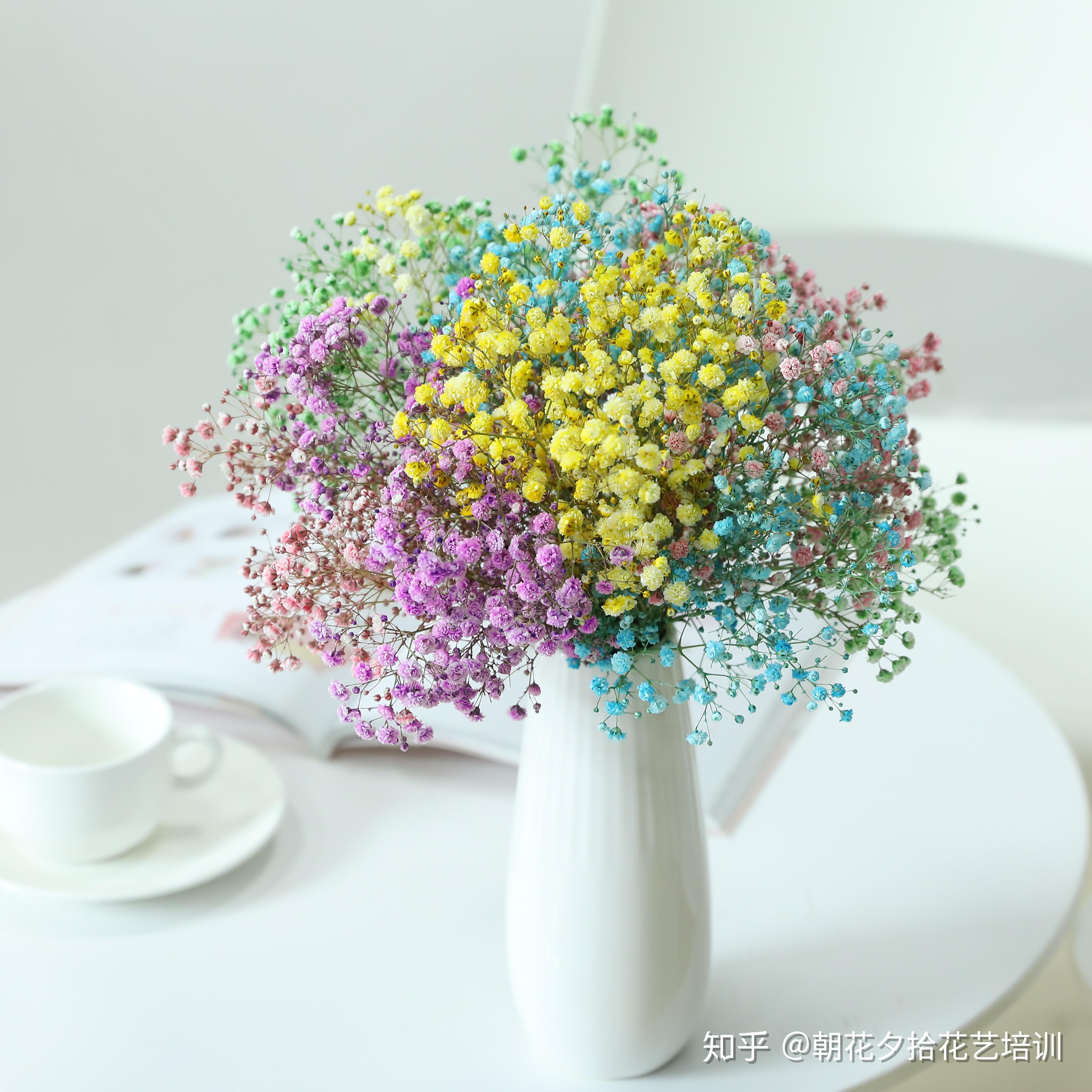 满天星插花每日更新——云南朝花夕拾